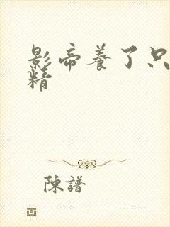 影帝养了只玫瑰精