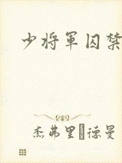 少将军囚禁我