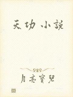 天功 小说
