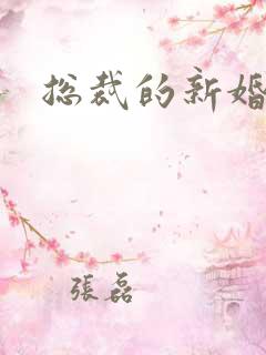 总裁的新婚弃妇