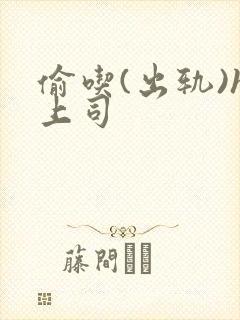 偷吃(出轨)h上司