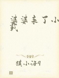 婆婆来了小说下载