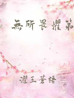 无所畏惧第二部