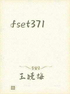 fset371