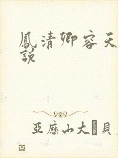 凤清卿容天凌小说