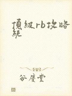 顶级rb攻略系统