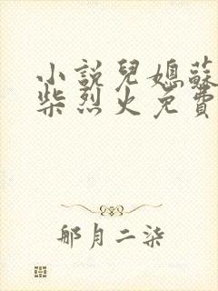 小说儿媳苏玥干柴烈火免费阅读