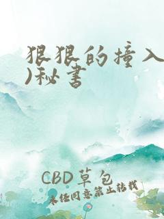 狠狠的撞入(h)秘书