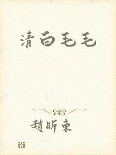 清白毛毛