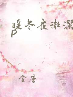 暖冬夜微澜VIP