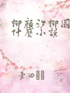 柳颜汐柳国安是什么小说