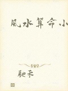 风水算命小说