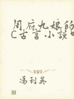 周府九娘的NPC古言小说叫什么