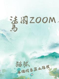 法国ZOOM人马
