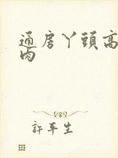 通房丫头高h纯肉