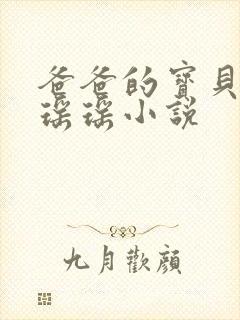 爸爸的宝贝by瑶瑶小说