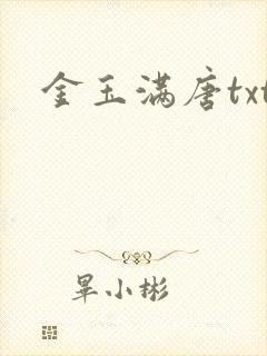 金玉满唐txt