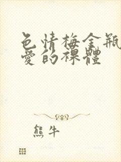 色情梅金瓶2之爱的裸体