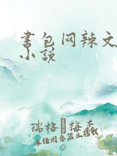 书包网辣文全本小说