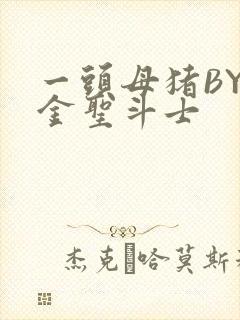 一头母猪BY黄金圣斗士