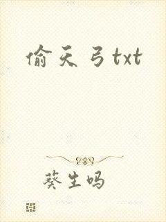 偷天弓txt