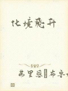 化境飞升