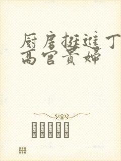 厨房挺进丁字裤高官贵妇