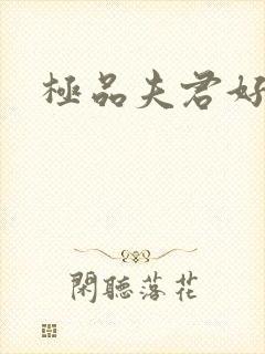 极品夫君好又多