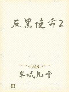 反黑使命2