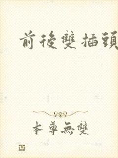 前后双插头互攻