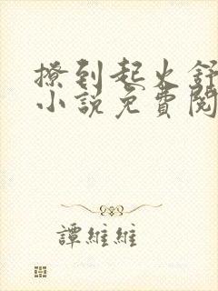 撩到起火舒漾的小说免费阅读全文