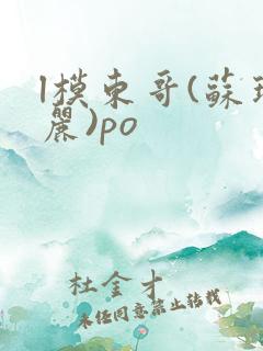 l模东哥(苏玛丽)po