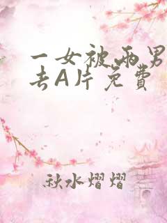 一女被两男桶进去A片免费