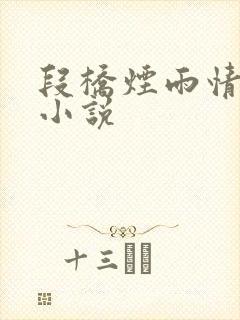 段桥烟雨情难离小说