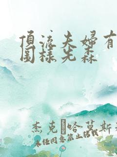 顶流夫妇有点甜图样先森