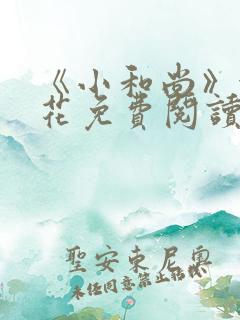 《小和尚》金银花免费阅读