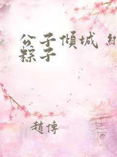 公子倾城 维和粽子