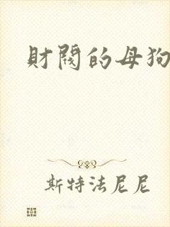 财阀的母狗们