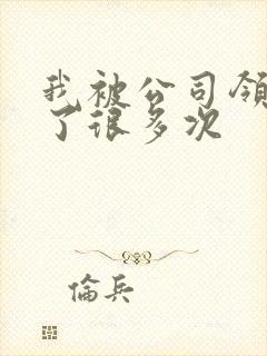 我被公司领导C了很多次