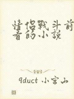 情侣战斗前适合看的小说