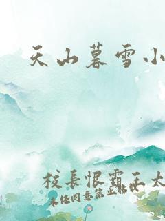天山暮雪小说