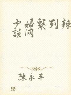 少妇系列辣文小说网