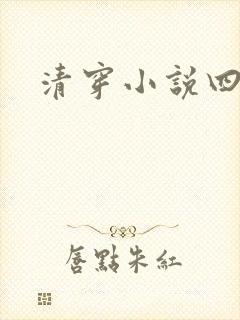 清穿小说四四