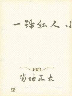 一号红人 小说
