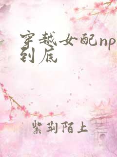 穿越女配np湿到底