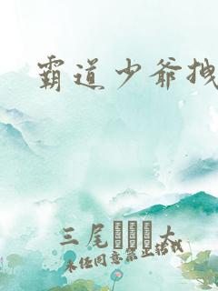 霸道少爷拽上我