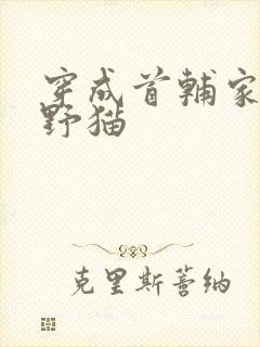 穿成首辅家的小野猫