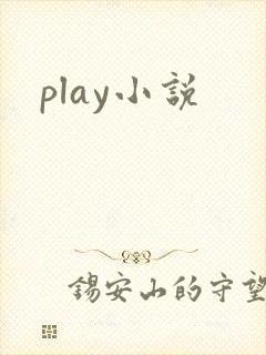 play小说