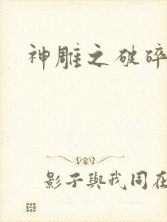 神雕之破碎之旅