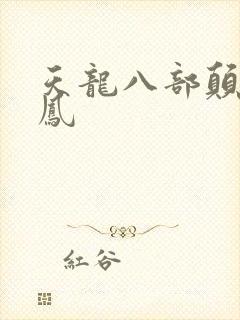 天龙八部颠龙鸾凤